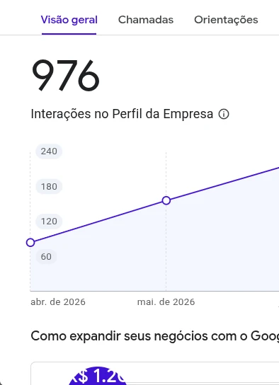 Painel de insights do Google mostrando 976 interações no perfil da empresa.